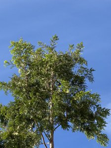 D9C99011-4AF6-4715-AEA8-2D028689C563.jpeg