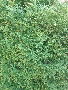20210907_085158.jpg