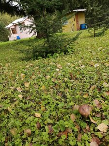 IMG_20210908_121740.jpg