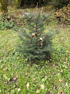 IMG_20210908_162221.jpg