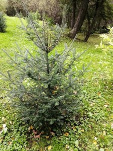 IMG_20210908_162233.jpg