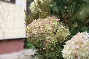 IMG_6189.JPG