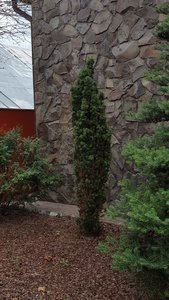 F38FF513-E012-4EE7-BE5D-DD102D750BC5.jpeg