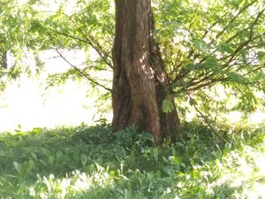 IMG_20210910_154423.jpg