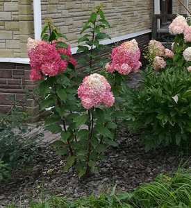 IMG_20210913_201019.jpg