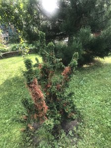 9073E0BA-C7CE-4E27-B2A5-72E0D55B55AD.jpeg