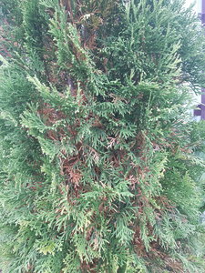 20210917_102728.jpg