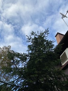 7DB64821-1B07-47DD-903C-F88FDF9985A0.jpeg