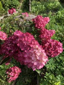 78B43294-C78E-4BC2-8A07-3007141841FC.jpeg