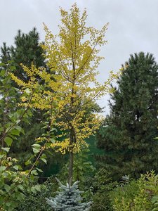 16961176-6F0A-42DC-AC25-6CD4AF80E1EE.jpeg