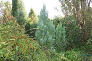 IMG_9092.JPG