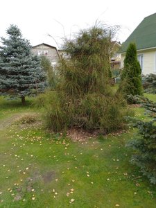 IMG_20211010_143021.jpg