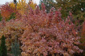 DSC01901.JPG