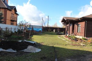 IMG_7144.jpg
