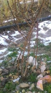 P_20180108_140254_1.jpg
