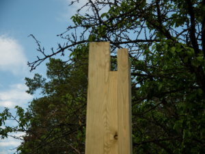 ilmx-1030984_resize.jpg
