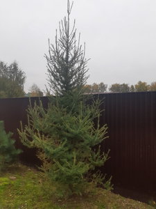 20211001_083358.jpg