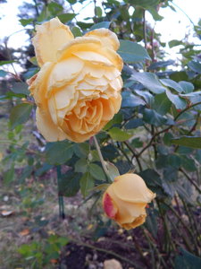 DSCN7764.JPG