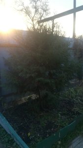 IMG-20211028-WA0083.jpg