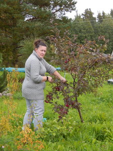 DSCN6989.JPG