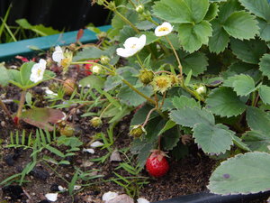DSCN6998.JPG