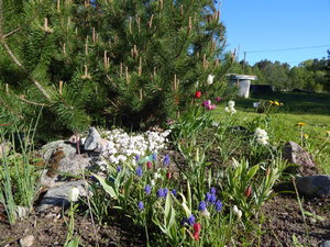 DSCN4891.JPG