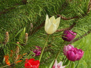 DSCN4755.JPG