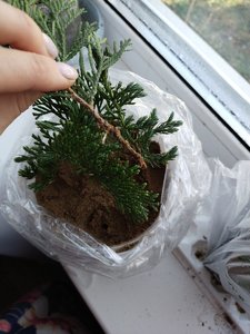 IMG_20211107_100706.jpg