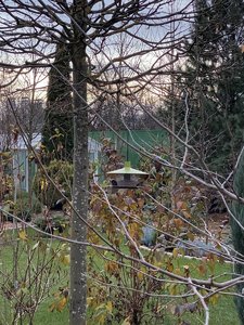 3BD89717-5E2B-47F9-835B-EEB40427AF82.jpeg