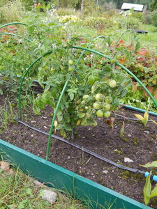 DSCN6960.JPG