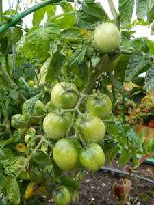 DSCN6961.JPG