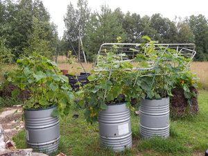 DSCN6884.JPG