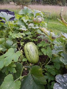 DSCN7087.JPG
