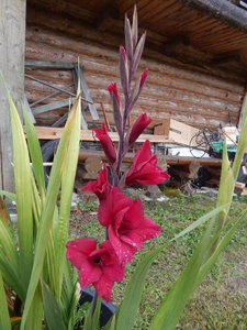 DSCN7345.JPG