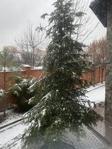72A499DE-DEEC-4BD8-A87D-5E28E5F178A1.jpeg