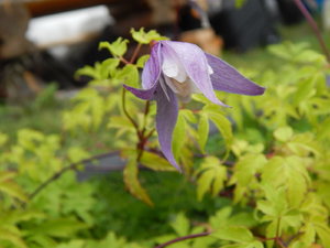 DSCN7206.JPG