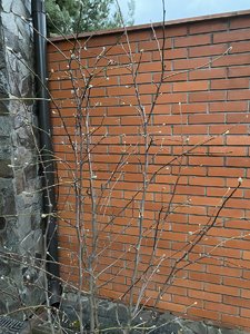 57E363F1-43D0-43FC-B0F7-B757B6A7E5AA.jpeg