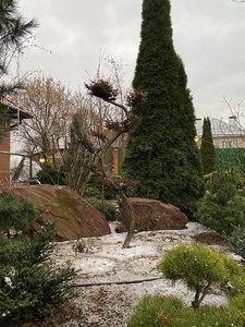 D363237E-E593-4883-8682-F910C68D7D82.jpeg