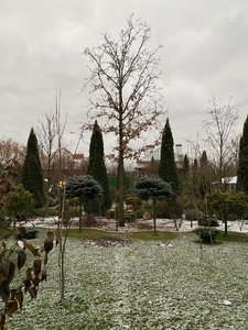 1C655B2C-1DF5-4D3E-87BD-3D6B0805ADB3.jpeg