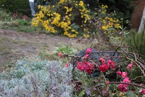IMG_0803.JPG