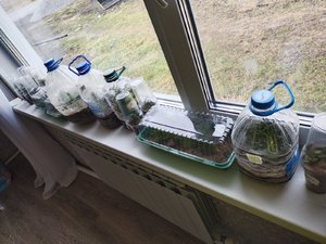 IMG_20211119_125306.jpg