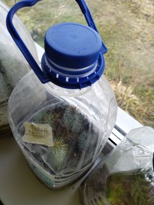IMG_20211119_125327.jpg