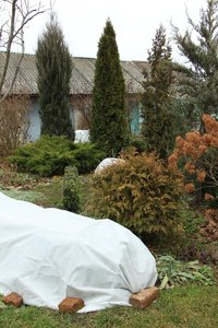 IMG_0872.JPG