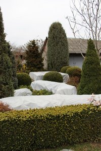 IMG_0856.JPG
