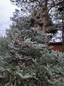 06709BD7-E39E-4962-B1AB-371BD2C02E11.jpeg