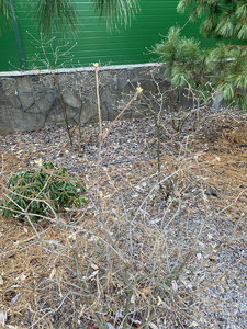 7AA72BD7-4047-4373-AEED-61576E4597F1.jpeg