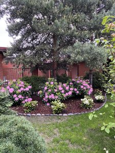 D30DDBEF-EF4B-456D-9858-770AED40C470.jpeg
