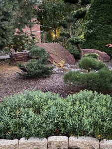 B80ED048-BADA-4B75-8705-F3C74BE5EE47.jpeg