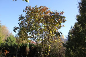 IMG_9162.JPG