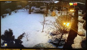 4A09B018-9D78-49D2-A2E0-333B1F62BDE5.jpeg